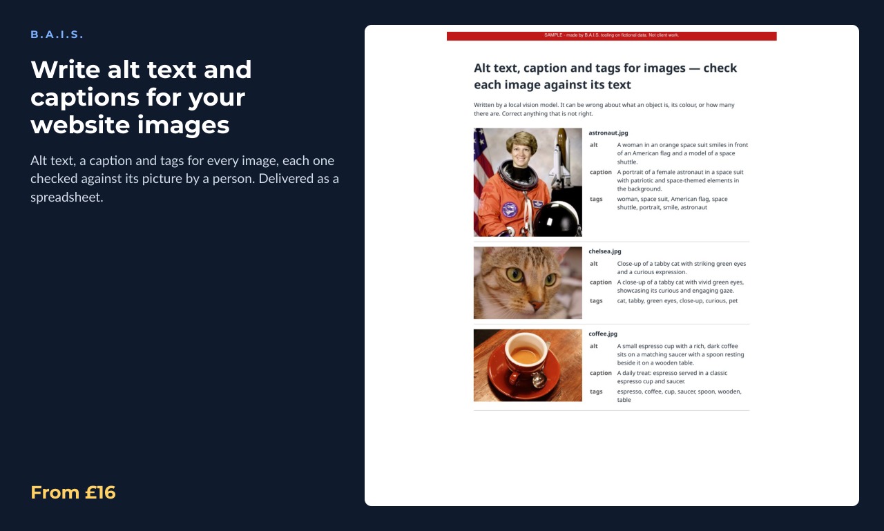 Sample output for: Write alt text and captions for your website images